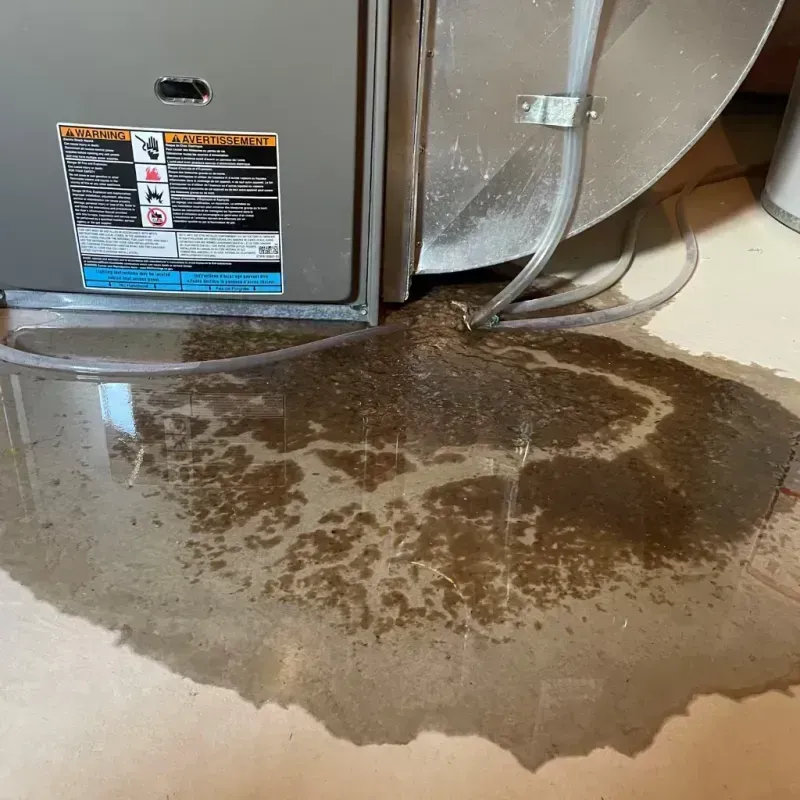 Appliance Leak Cleanup in Grosse Pointe, MI